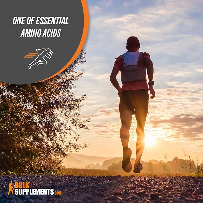 BulkSupplements.com DMG HCl Powder - Dimethylglycine Supplements - Glycine Powder - Glycine Supplements - DMG 500 mg - DMG Powder - 500mg per Serving, DMG Bulk (25 Kilograms - 55 lbs)