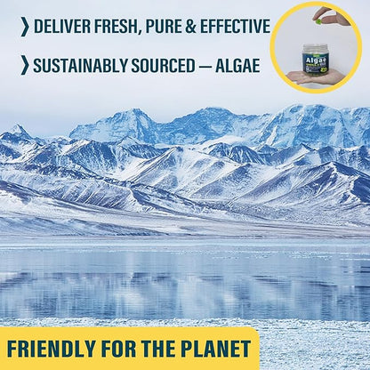 Vegan Omega 3 Gummies 1000mg w/MethylFolate, Vitamin B12, Plant Based DHA 460mg & EPA 230mg for Brain, Joint, Eye & Immunity, Sugar Free Fish Oil Omega 3 Supplements Alternative for Adults, 60 Cts