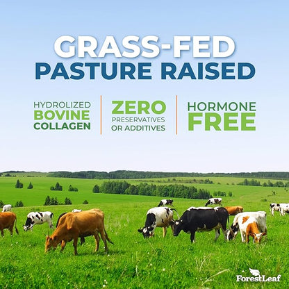 Collagen Peptides Powder Unflavored - Hydrolyzed Collagen Protein Powder Type 1, 2 & 3 - Grass Fed Keto Collagen Powder for Women & Men - Vital Hair, Skin, Nails, Joints, Recovery, 11g Per Serving