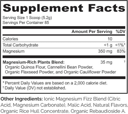 NATURELO Magnesium Powder - Whole Food Calm Magnesium Powder with Quinoa, Cauliflower, & Flaxseed for Stress Relief, Raspberry Lemon 85 Servings, 15oz