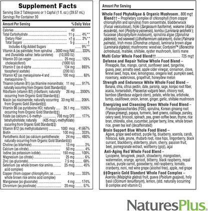 Natures Plus Source of Life Gold Multivitamin Liquid - 30 oz - Supports Energy Production, Healthy Immune System & Well-Being Includes Vitamins D3, B12, K2 & Over 120 Whole Food Nutrients, 30 Servings