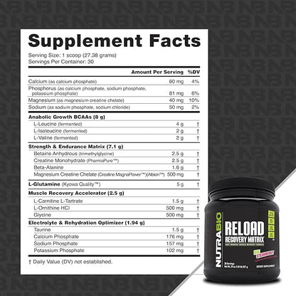 NutraBio Reload - Powerful Muscular Recovery Formula - Post-Workout Supplement - 3G Creatine - 8G BCAAs - 5G Glutamine - 30 Servings, Kiwi Strawberry
