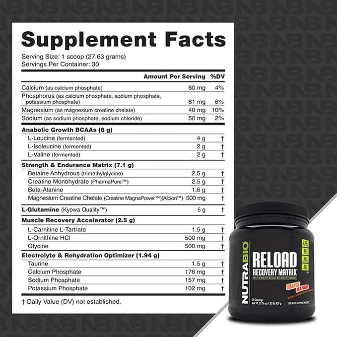 NutraBio Reload - Powerful Muscular Recovery Formula - Post-Workout Supplement - 3G Creatine - 8G BCAAs - 5G Glutamine - 30 Servings, Orange Mango