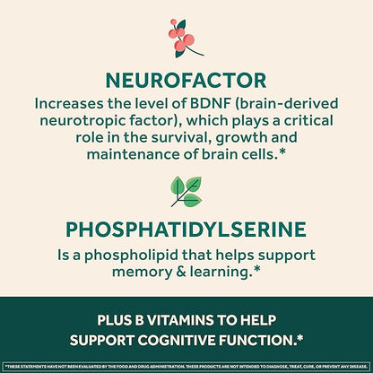 NEURIVA Ultra Decaffeinated Clinically Tested Nootropic Brain Supplement for Mental Alertness, Memory, Focus & Concentration, Cognivive, Neurofactor, Phosphatidylserine, Vitamins B6 B12, 60 Capsules