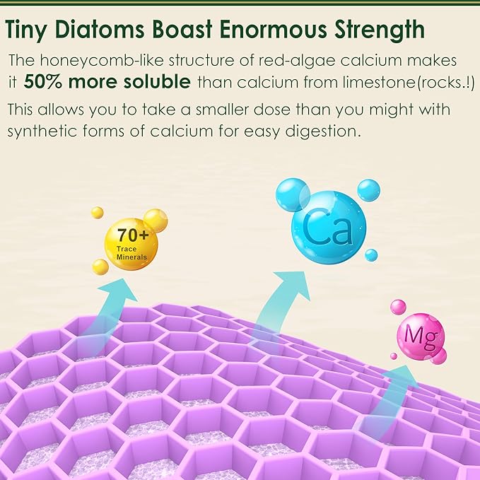 Plant Based Calcium Supplement 600mg with Vitamin D3 K2, Zinc for Bone Strength, Sustainably Sourced Algae Calcium Magnesium 2:1 Ratio, Sugar Free Calcium Gummies 70+ Trace Minerals, Vegan, 60 Counts