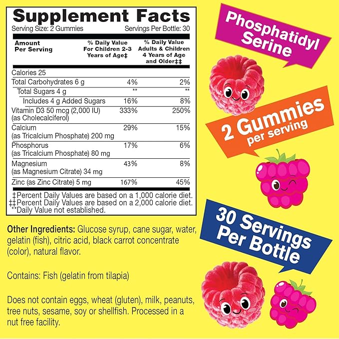 Kid's Calcium, Magnesium, Zinc + Vitamin D3 Gummies by WellYeah | Bone, Muscle and Nerve Health Support, Immune Support | for Men and Women | Gluten Free, Non GMO | Raspberry Flavor | 60 Count