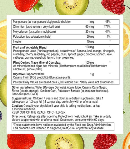 Go Healthy Kids Liquid Multivitamin - Vegan Vitamin Supplement Supports Children's Growth, Development & Immune Function, Ages 1 & Up, Delicious Fruit Flavor - 32 Servings