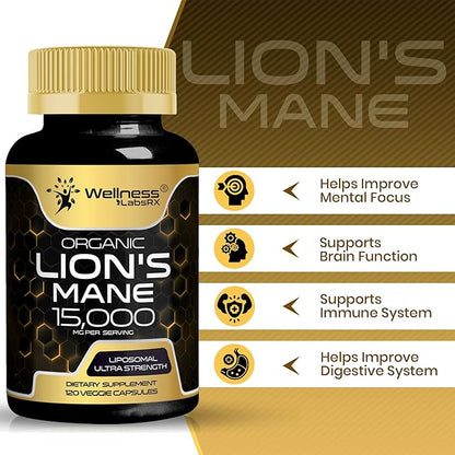 Lions Mane Supplement Capsules - 120 Count - Mushroom Supplement, Brain Supplements for Memory and Focus, Lion's Mane Mushroom Capsules - Cognitive and Immune Support, Focus Supplement - Pack of 2