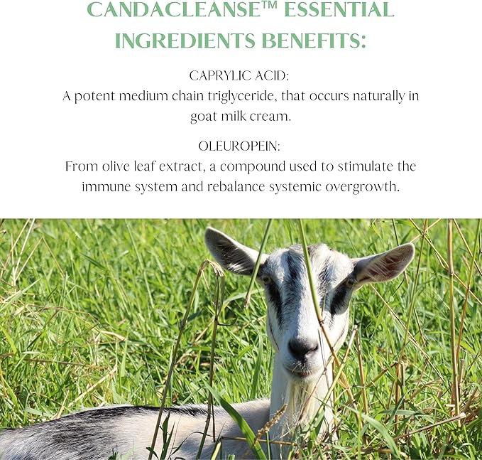 Mt. Capra Canda Cleanse | Support Intestinal Wellness | With Enzymes, Caprylic Acid, Pau D'Arco, Olive Leaf Extract, Garlic, Oregano, and Much More