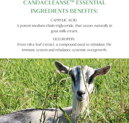 Mt. Capra Canda Cleanse | Support Intestinal Wellness | With Enzymes, Caprylic Acid, Pau D'Arco, Olive Leaf Extract, Garlic, Oregano, and Much More