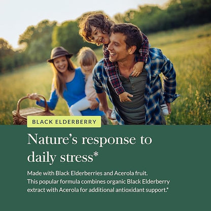 Gaia Herbs Black Elderberry - Daily Immune Support Supplement to Help Maintain Well-Being- with Black Elderberries and Acerola Fruit for Antioxidant Support - 120 Vegan Capsules (60-Day Supply)