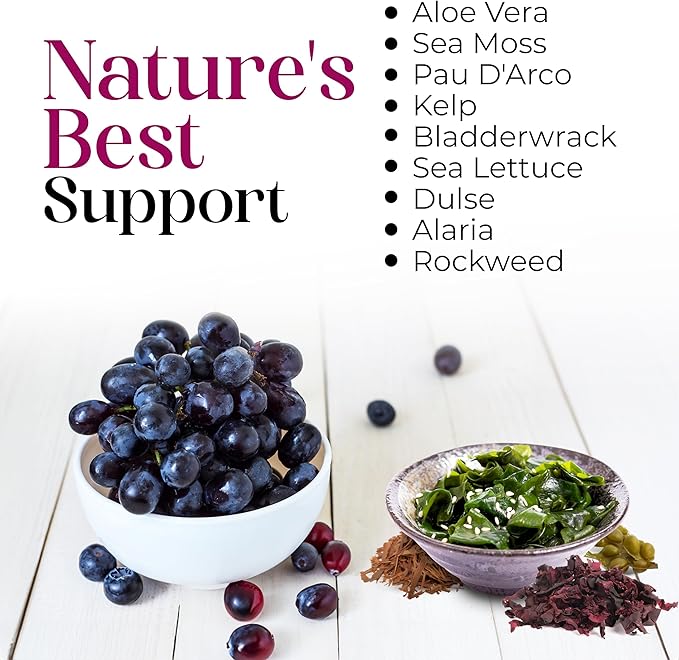 Nature’s Liquids - SeaAloe Liquid Whole Food, (32 Oz) Liquid Multivitamin and Mineral Supplement, With Aloe Vera, Sea Vegetables, Pau D’ Arco, For Digestion, Immune Support & Thyroid Function - 1 Bottle