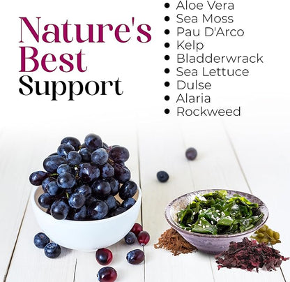 Nature’s Liquids - SeaAloe Liquid Whole Food, (32 Oz) Liquid Multivitamin and Mineral Supplement, With Aloe Vera, Sea Vegetables, Pau D’ Arco, For Digestion, Immune Support & Thyroid Function - 1 Bottle