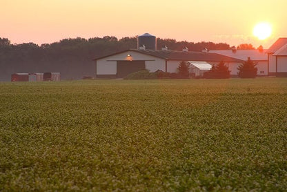 Standard Process Catalyn Chewable - Foundational Support for General Wellbeing with Vitamin D, Vitamin C, Vitamin A, Thiamine, Riboflavin, Vitamin B6, Magnesium Citrate, and More - 90 Tablets