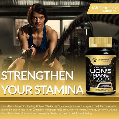 Lions Mane Supplement Capsules - 120 Count - Mushroom Supplement, Brain Supplements for Memory and Focus, Lion's Mane Mushroom Capsules - Cognitive and Immune Support, Focus Supplement - Pack of 2