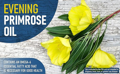 Omega 3 6 Parent EFA Fish Oil Alternative, Organic Plant Based, Vegetarian, Burpless, No Fishy Aftertaste (120 Soft Gels) by YES Your Essential Supplements. Made in USA.