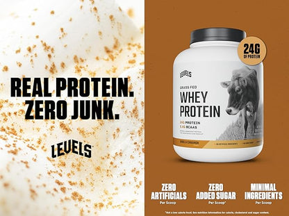 Levels Grass Fed Whey Protein Powder, No Artificials, 24G of Protein, Vanilla Cinnamon, 5LB