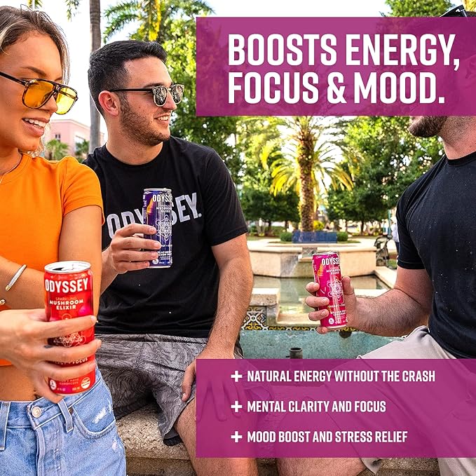 Odyssey Elixir Functional Beverage - Adaptogen Drink with Lions Mane, Cordyceps, L Theanine & Green Tea Caffeine - for Cognition, Energy & Mood Boost - 0 Added Sugar - Variety Pack - 12 Fl oz, 12 Pack