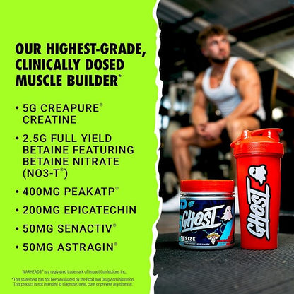 GHOST Size V3 Muscle Builder Dietary Supplement - Warheads Sour Watermelon, 30 Servings – Support Muscle Growth & Strength Building for Men & Women - Creatine & Betaine - Free of Sugar & Gluten