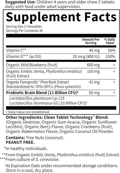 Garden of Life Dr. Formulated Attention and Focus for Kids, Supplement Promotes Healthy Brain Function, Concentration with Organic Wild Blueberry, Pine Bark, Vitamin C, D and Probiotics, 60 Count