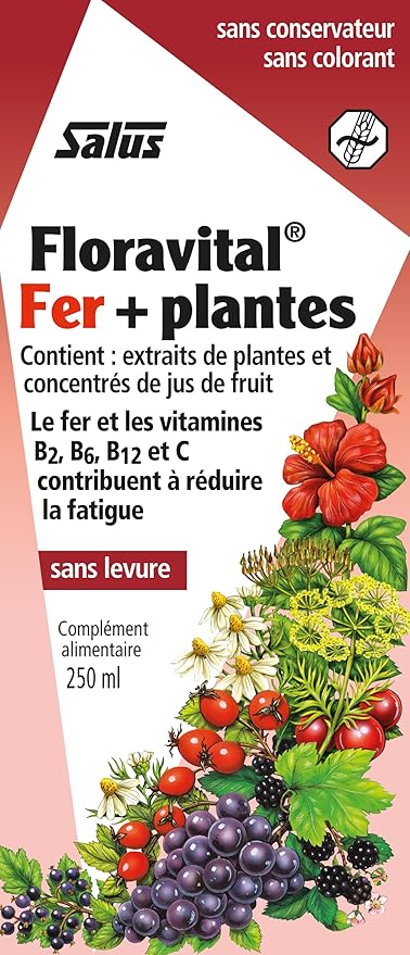 Floradix Floravital Liquid Iron & Vitamins Formula - Liquid Iron Supplement with B Complex Vitamins, Vitamin C & Herbs for Energy Support - Vegan, Gluten-Free, Yeast- Free, Non-GMO - 23 fl oz