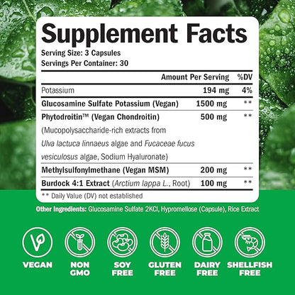 Vegan Glucosamine Chondroitin MSM - 100% Vegan Joint Support Supplement for Women & Men with Burdock and Glucosamine Sulfate 1500 mg. Used for Cartilage and Joint Health and Flexibility - 2 Pack