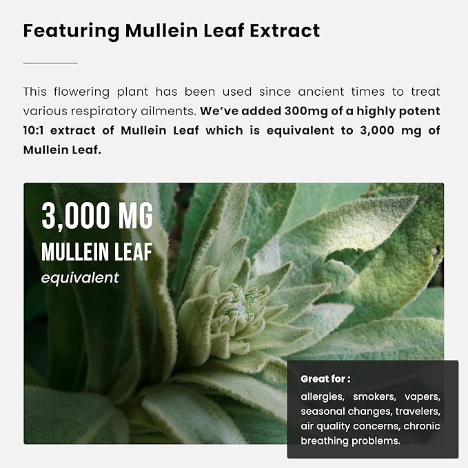 Lung Detox & Cleanse | Mullein Leaf Capsules | 15-In-1 Lung Health Formula for Respiratory, Immune & Mucus Support | 10:1 Mullein Leaf Extract (3000mg Equivalent) | Vegan Lung Support Supplement