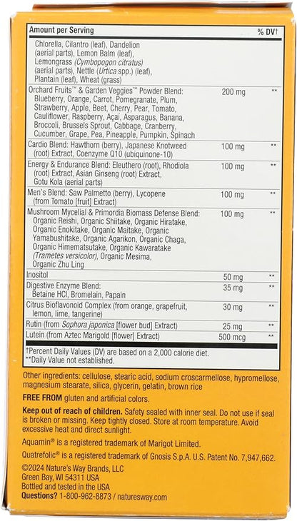 Nature's Way Alive! Men's Multi Vitamin, 90 CT