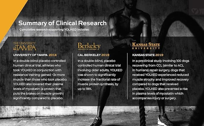 Clinically Tested and NSF-Certified All Natural Muscle Building Supplement - Increase Lean Muscle, Reduce Muscle Loss, and Improve Recovery with Protein’s Perfect Partner, 30 Servings