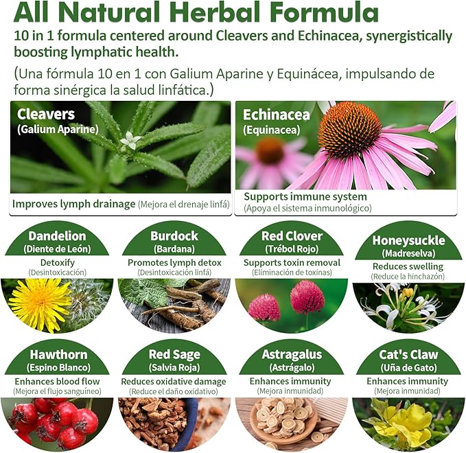 Cleavers Lymphatic Drainage Drops for Lymph System Detox Cleanse, Use with Lymph Massage Tool. 6oz