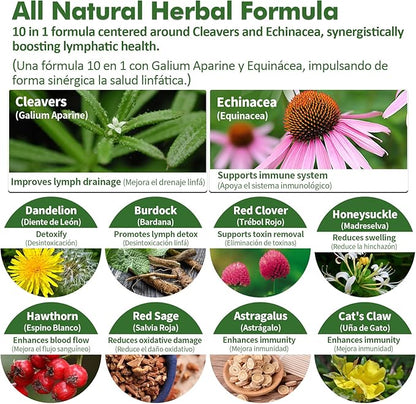 Cleavers Lymphatic Drainage Drops for Lymph System Detox Cleanse, Use with Lymph Massage Tool. 6oz