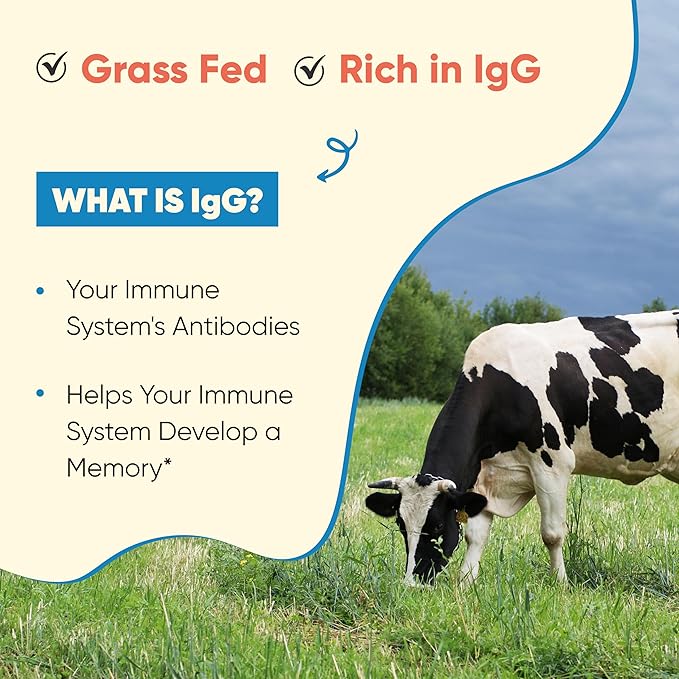 Grass Fed Bovine Colostrum Powder For Humans, Adults | 65 Servings Cows Supplement | High IgG For Best Gut Health | Immunity & Muscle Recovery Support | Unflavored Moo Superfood For Men & Women