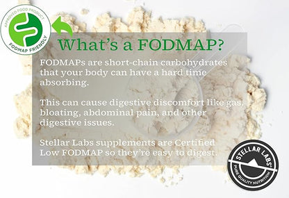 Stellar Labs Whey Protein Powder with BCAA's & Whey Isolate | Certified Low FODMAP, Non GMO, Gluten Free, Soy Free, Low Carb, Keto, with Stevia | All Natural Lean Post Workout Shakes | Vanilla