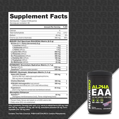 NutraBio Alpha EAA - All-Day Aminos - Recovery, Energy, Focus, and Hydration Supplement - Full Spectrum EAA BCAA Matrix, Electrolytes, Nootropics, Coconut Water - 30 Servings - Grape Berry Crush