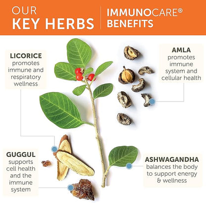 Himalaya ImmunoCare for Active Immune Support and Cellular Defense, 840 mg, 240 Capsules, 2 Month Supply