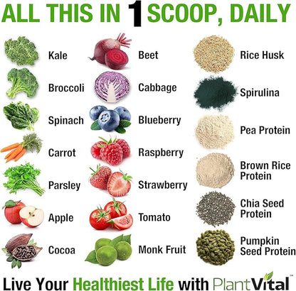 PlantVital Vegan Protein Powder Plant Based, Organic Protein Powder Chocolate, 24g/0g sugar, 12 Superfoods, Veggies, Probiotics, Raw Cocoa, Kale, Beets, Spirulina, Pea, Gluten-Free, Keto-Friendly,16oz