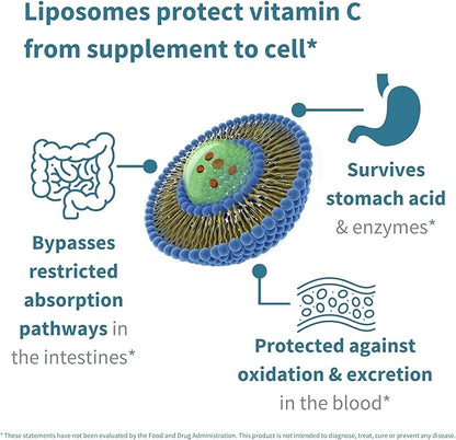 High Absorption Liposomal Vitamin C 1000mg & Zinc Bisglycinate, 30-90 Servings, Liquid Immune Support for Adults & Kids 5+, Non-GMO, Sugar-Free, Citrus & Vanilla Flavor, by Igennus