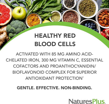 Natures Plus Hema-Plex Iron - 60 Slow-Release Mini-Tabs - 85 mg Chelated Iron - Total Blood Health - with Vitamin C & Bioflavonoids - Vegan, Gluten Free - 30 Servings