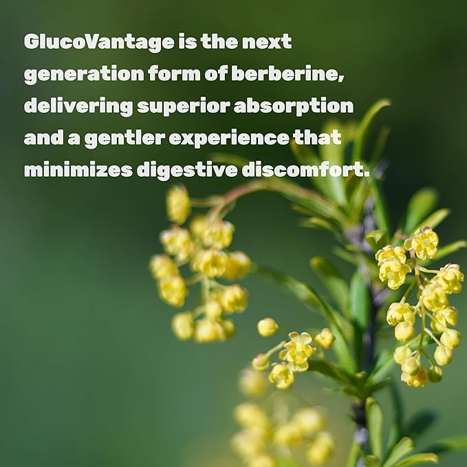 Dihydroberberine 100mg Per Serving, 120 Veggie Capsules – 5X More Bioavailable Than Berberine HCL – Heart Health Supplement – GlucoVantage Formula, Vegan, Non-GMO