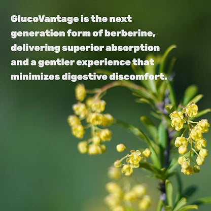 Dihydroberberine 100mg Per Serving, 120 Veggie Capsules – 5X More Bioavailable Than Berberine HCL – Heart Health Supplement – GlucoVantage Formula, Vegan, Non-GMO