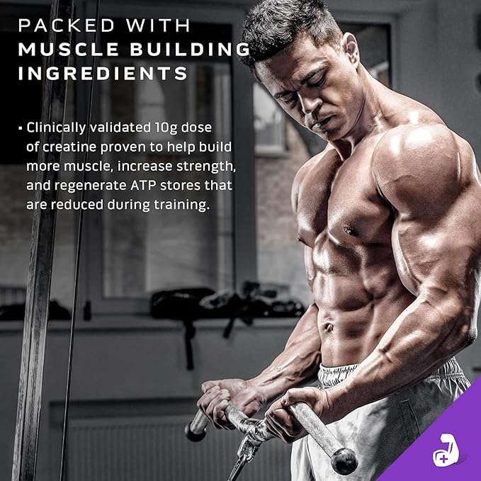 MuscleTech Mass Gainer Protein Powder, Mass-Tech Extreme 2000, Muscle Builder Whey Protein Powder, Protein + Creatine + Carbs, Max-Protein Weight Gainer for Women & Men, Vanilla, 20 lbs