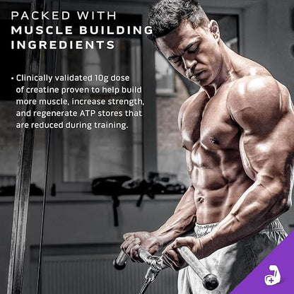 MuscleTech Mass Gainer Protein Powder, Mass-Tech Extreme 2000, Muscle Builder Whey Protein Powder, Protein + Creatine + Carbs, Max-Protein Weight Gainer for Women & Men, Vanilla, 20 lbs