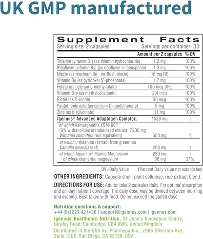 Advanced Ashwagandha KSM-66, L-Theanine & Magnesium, Clean Label, Multi Action Adaptogen Complex for Stress Support with Zinc & B Vitamins, 360 Vegan Capsules, by Igennus