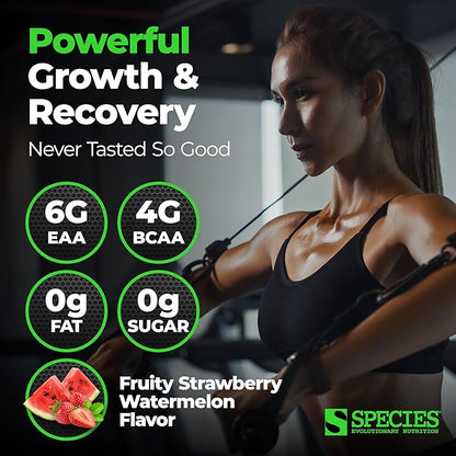 Species Nutrition Amino Evolved EAA & BCAA Powder, Fermented Amino Acids, Branched Chain Amino Acid Muscle Recovery & Endurance, Pre & Post Workout Supplement (Strawberry Watermelon, 30 Servings)