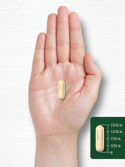 Carlyle Soy Isoflavones for Women and Men 1500mg | 200 Capsules | Non-GMO, Gluten Free Extract Supplement