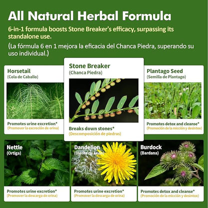 Herbal Liquid Drops, Natural Stone Breaker Extract for Kidney Stone Dissolve & Gallstone Dissolver, Detox Support. 4oz-Apple