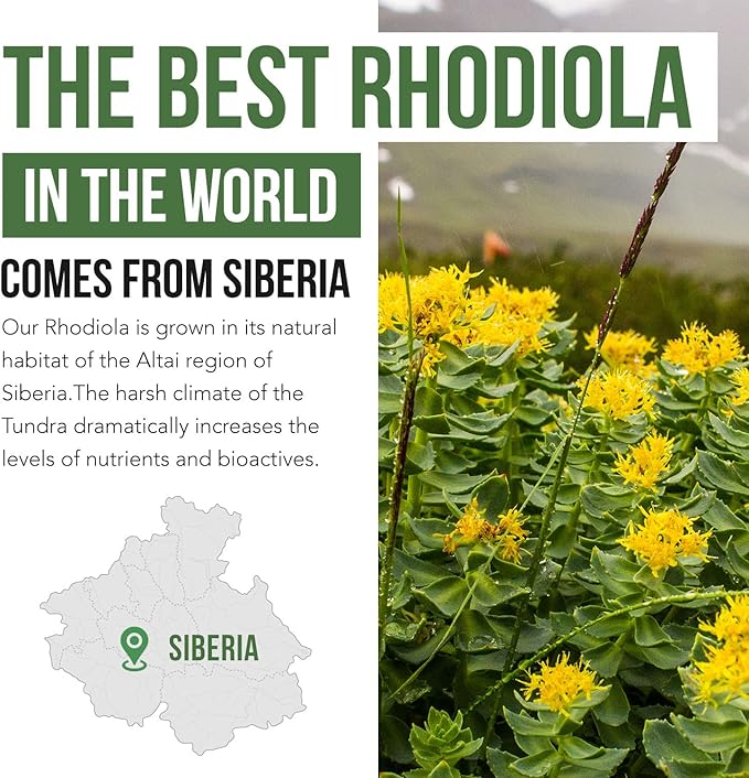 Siberian Rhodiola® Max Strength Rhodiola Rosea - 5% Rosavins, 2% Salidroside - BioPerine® Absorption Enhancement, Grown in Siberia, DNA Verified - Reduce Stress, Enhance Energy & Cognition*(60 Count)