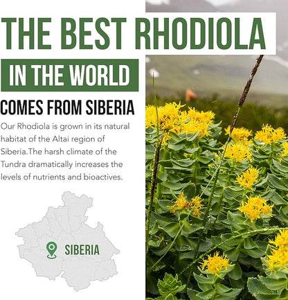 Siberian Rhodiola® Max Strength Rhodiola Rosea - 5% Rosavins, 2% Salidroside - BioPerine® Absorption Enhancement, Grown in Siberia, DNA Verified - Reduce Stress, Enhance Energy & Cognition*(60 Count)
