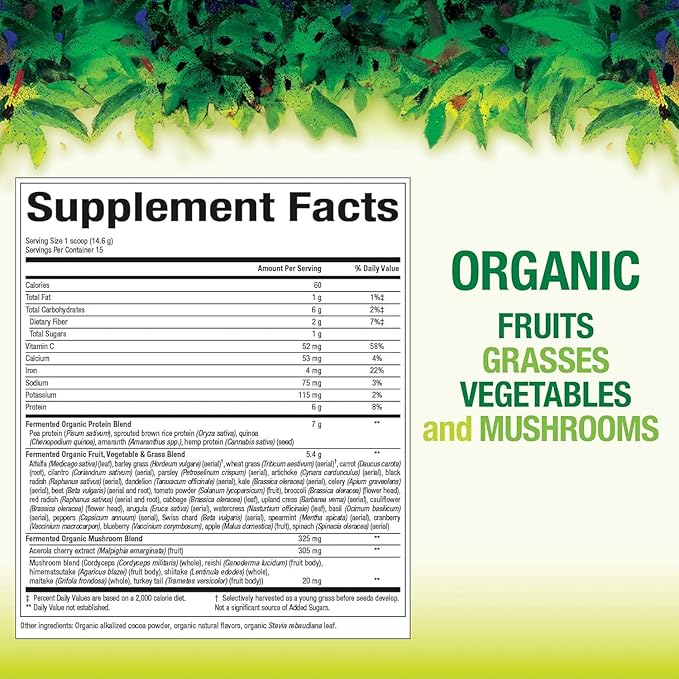 Natural Factors Whole Earth & Sea from, Organic Fermented Greens, Vegan Whole Food Supplement, Chocolate, 7.7 Oz