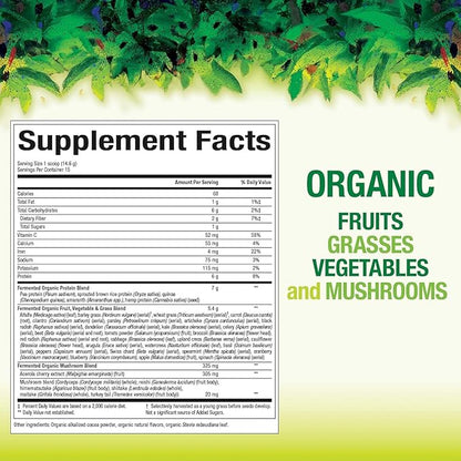 Natural Factors Whole Earth & Sea from, Organic Fermented Greens, Vegan Whole Food Supplement, Chocolate, 7.7 Oz
